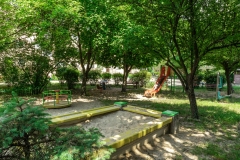 DSC01939