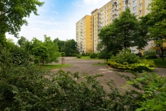 DSC00046