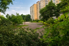 DSC00050