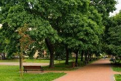DSC00053