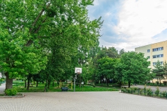 DSC00071
