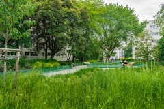 DSC00075