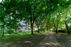 DSC02126