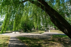 DSC01772