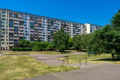 DSC01776