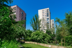 DSC01833