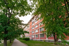 DSC02297