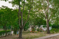 DSC02304