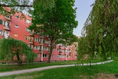 DSC02319