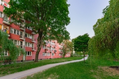 DSC02320